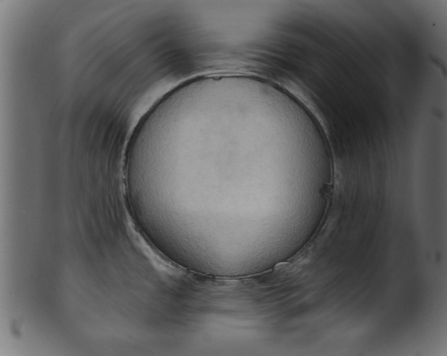 X0000101211485200807181407