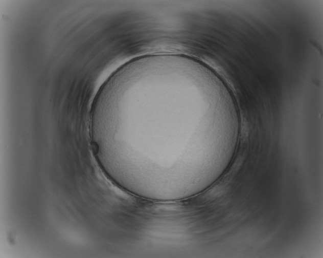 X0000101211486200807181407