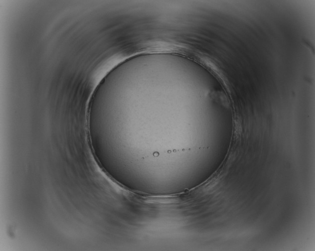 X0000101211487200807181407