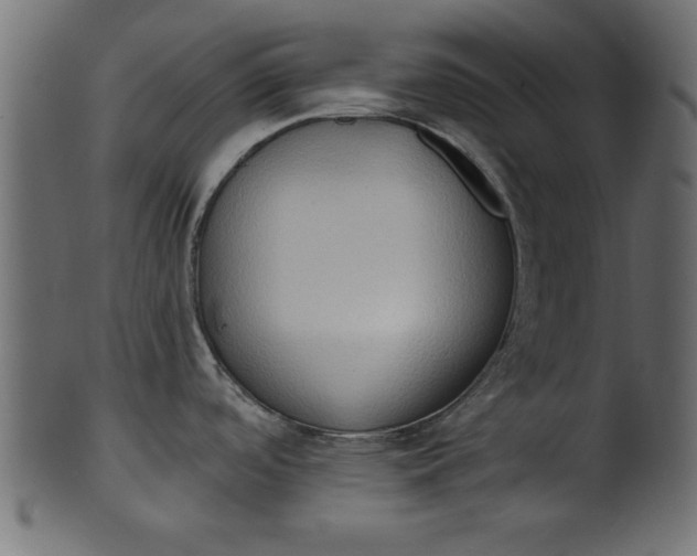 X0000101211488200807181407