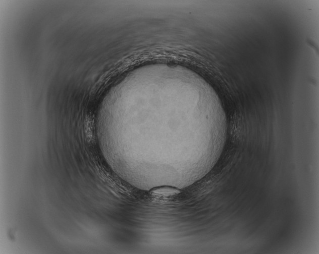 X0000101211490200807181406