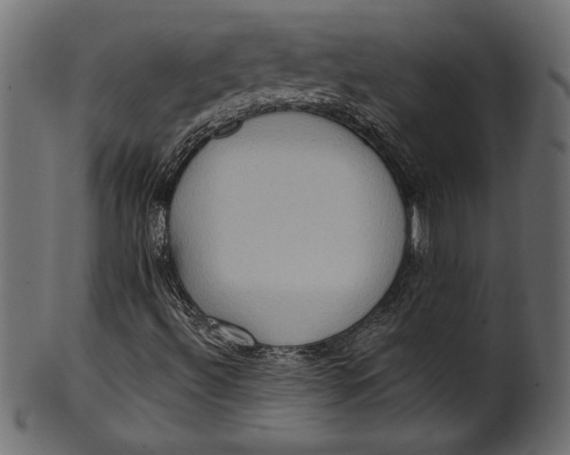 X0000101211492200807181406