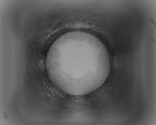 X0000101211493200807181406