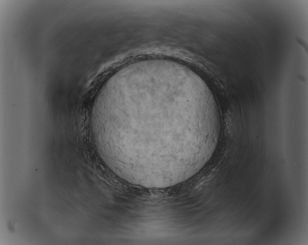 X0000101211494200807181406