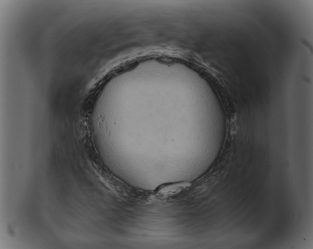 X0000101211496200807181406