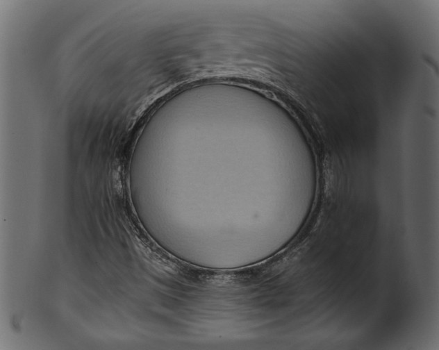 X0000101211497200807181406