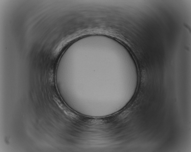 X0000101211499200807181406