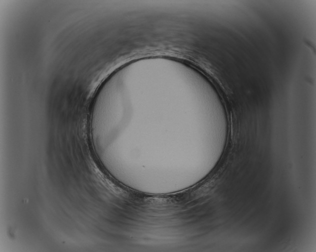 X0000101211500200807181406