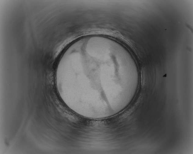 X0000101211501200807181406