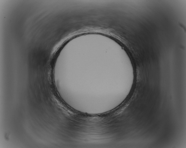 X0000101211502200807181406