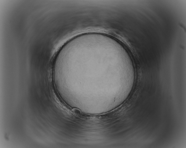 X0000101211504200807181406