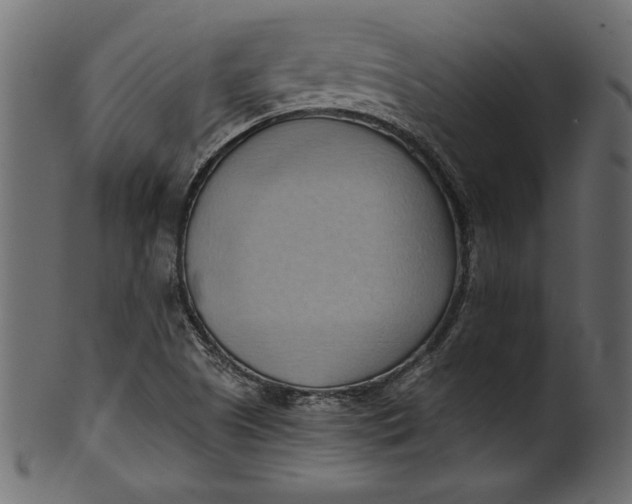 X0000101211505200807181406