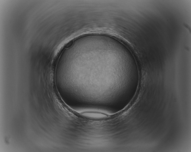 X0000101211506200807181406