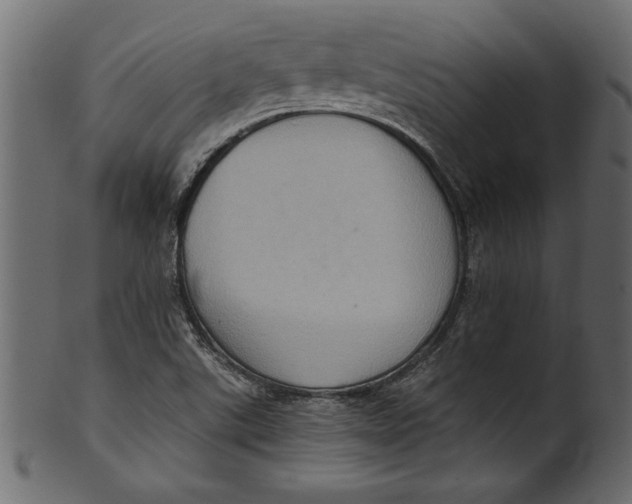 X0000101211507200807181406