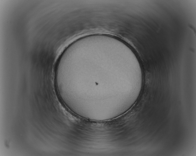 X0000101211508200807181406