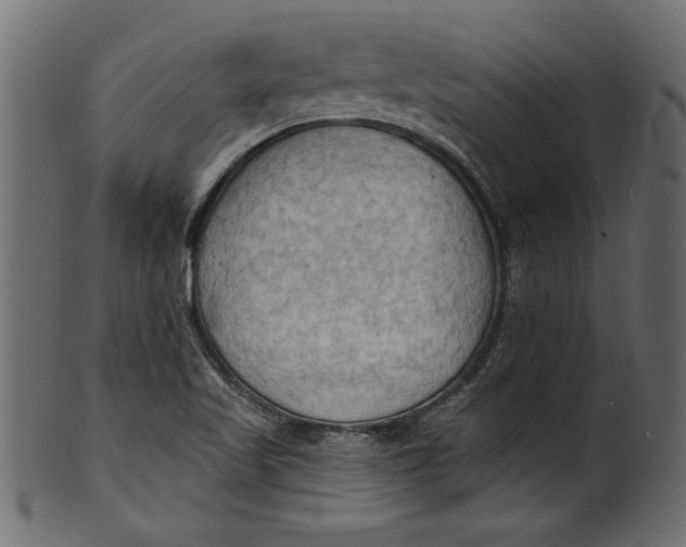 X0000101211509200807181406