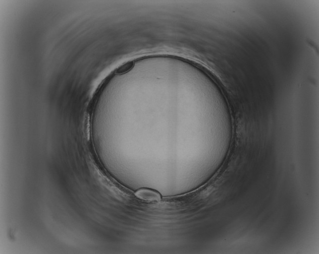 X0000101211510200807181406