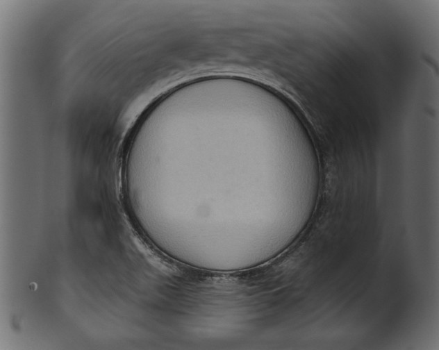 X0000101211511200807181406