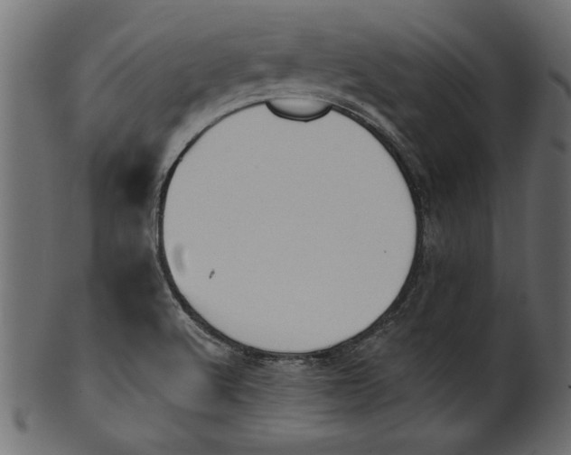 X0000101211512200807181406