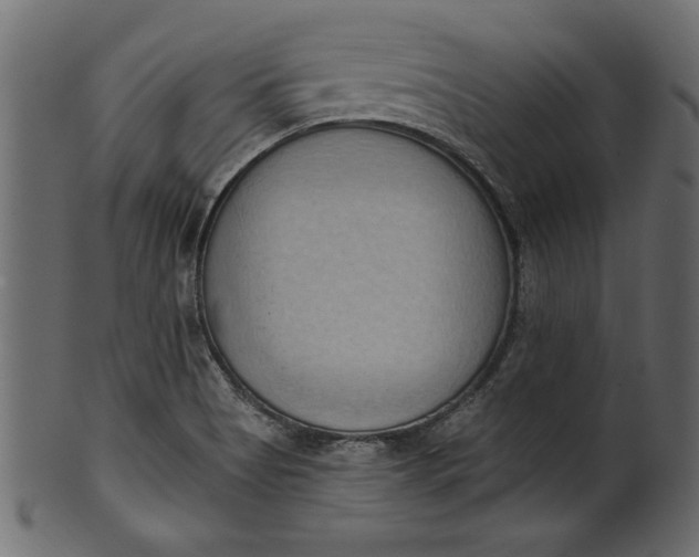 X0000101211513200807181406