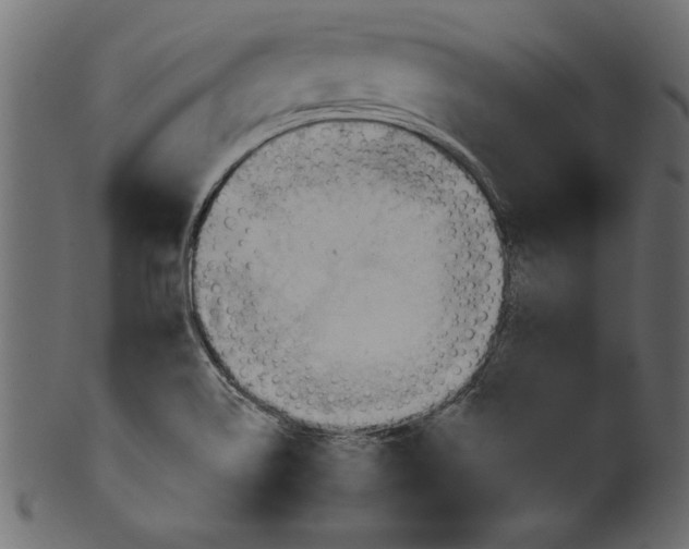 X0000101211514200807181406