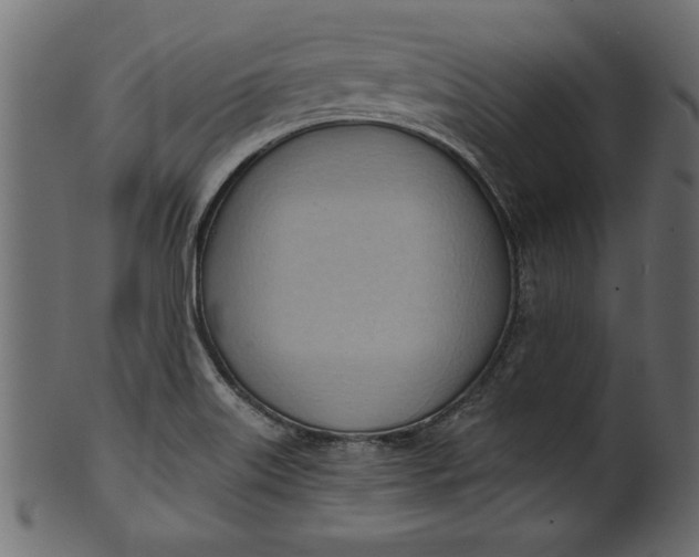 X0000101211515200807181406