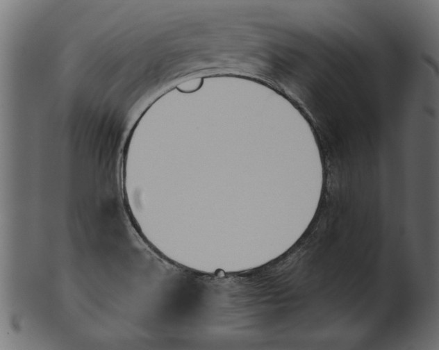 X0000101211516200807181406