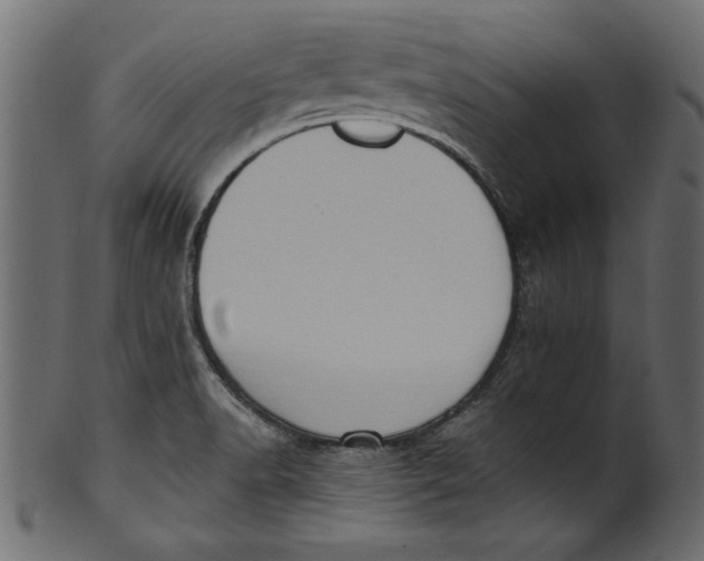 X0000101211518200807181406