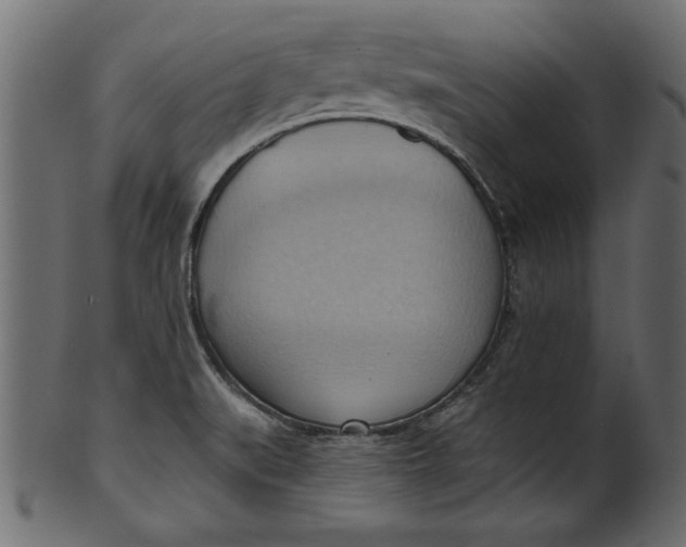 X0000101211519200807181406