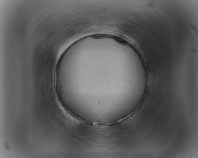 X0000101211520200807181406