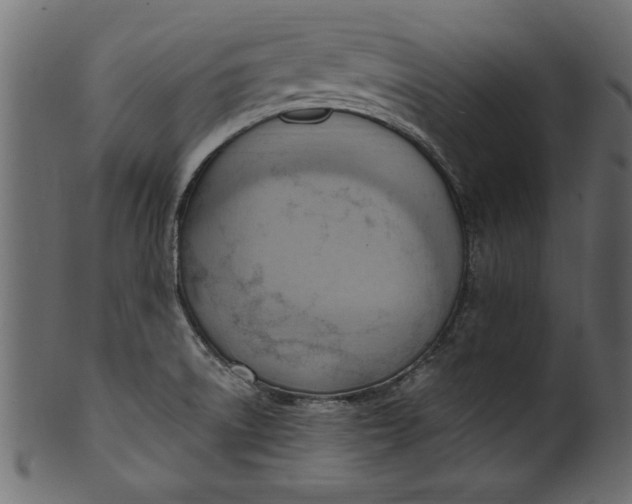 X0000101211522200807181406