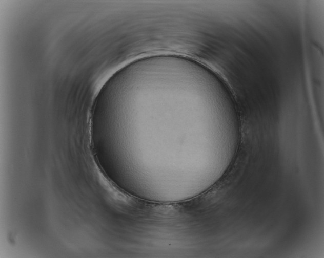 X0000101211524200807181406