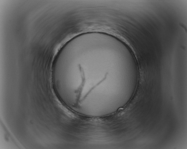 X0000101211525200807181406