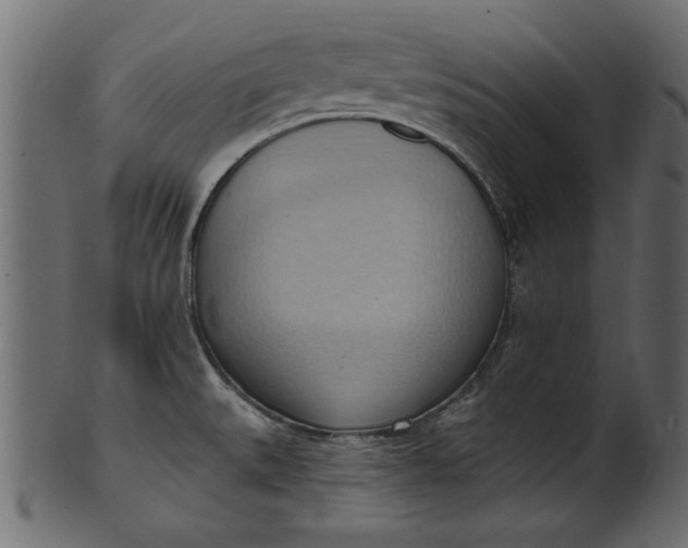 X0000101211527200807181406