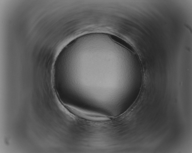 X0000101211528200807181406