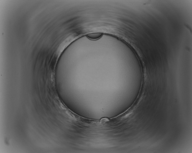 X0000101211529200807181406