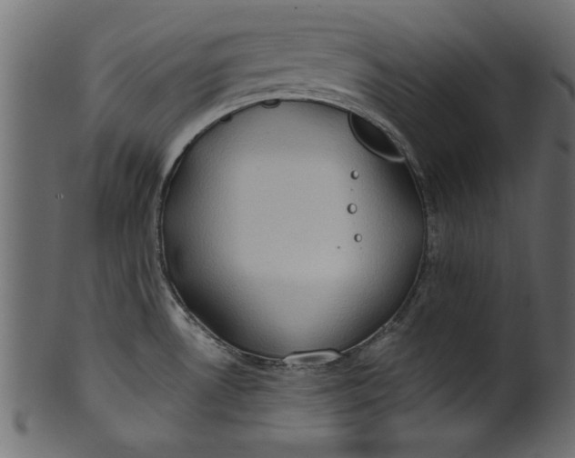 X0000101211530200807181406