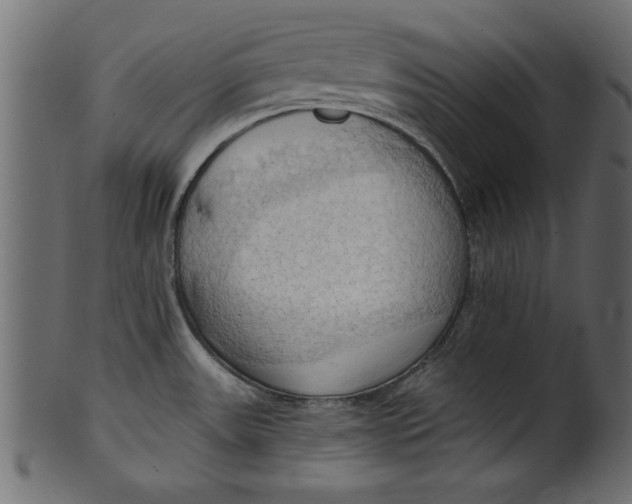 X0000101211531200807181406