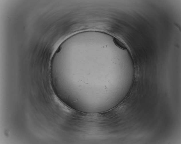 X0000101211532200807181406