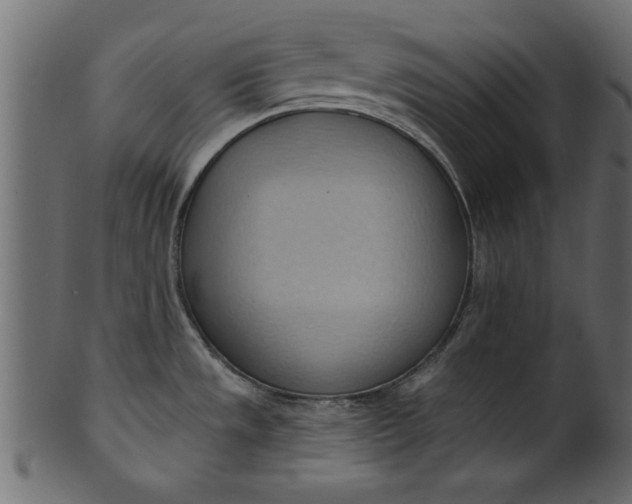 X0000101211533200807181406