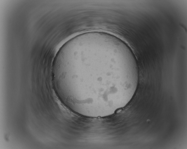 X0000101211534200807181406