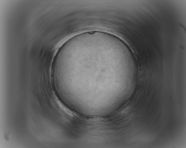 X0000101211535200807181406