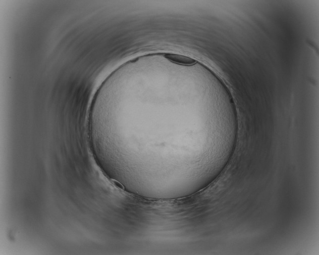 X0000101211536200807181407