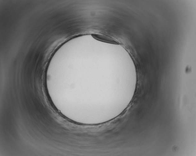 X0000101210001200807251059