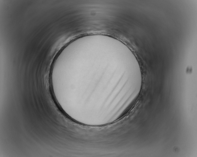 X0000101210002200807251059