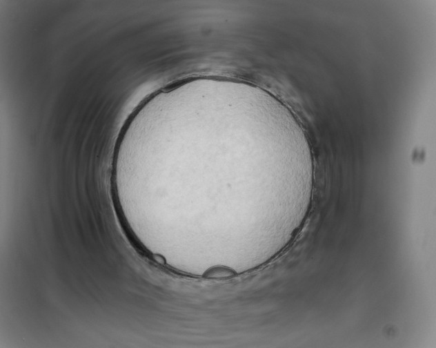 X0000101210003200807251059