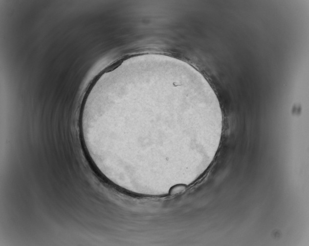 X0000101210004200807251059