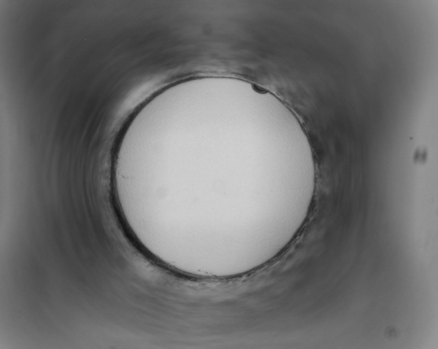 X0000101210005200807251059