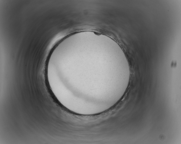 X0000101210006200807251059