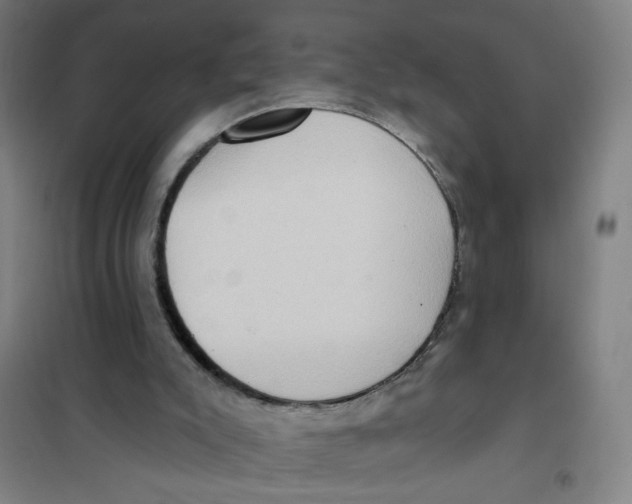 X0000101210007200807251059